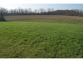 Property photo 11 - 77 +/- Acres Offered in 6 Tracts - Premier Estate Auction